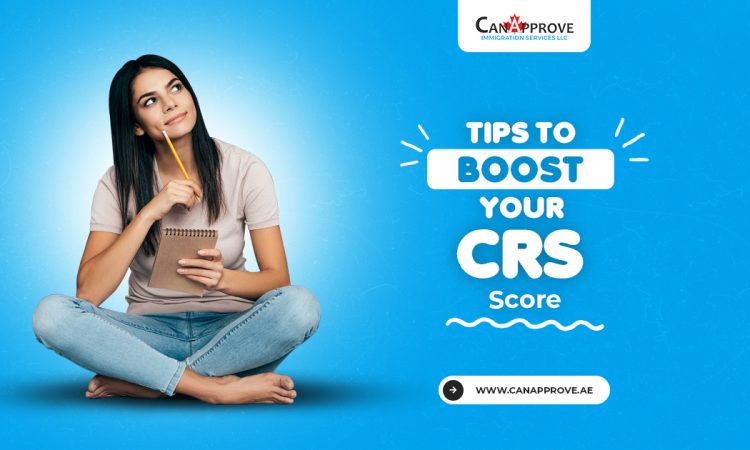 Tips to boost your CRS score