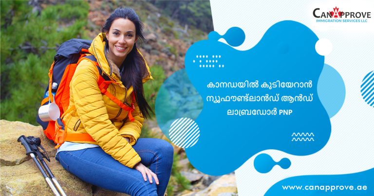 സ്വപ്നതുല്യമായ ജീവിതം ന്യൂഫൗണ്ട് ലൻഡ് ആൻഡ് ലാബ്രഡോറിൽ