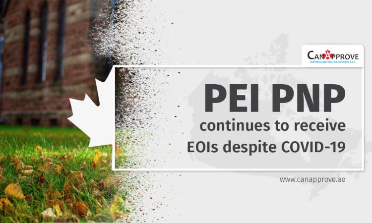 PEI PNP continues to receive EOIs despite COVID-19_1