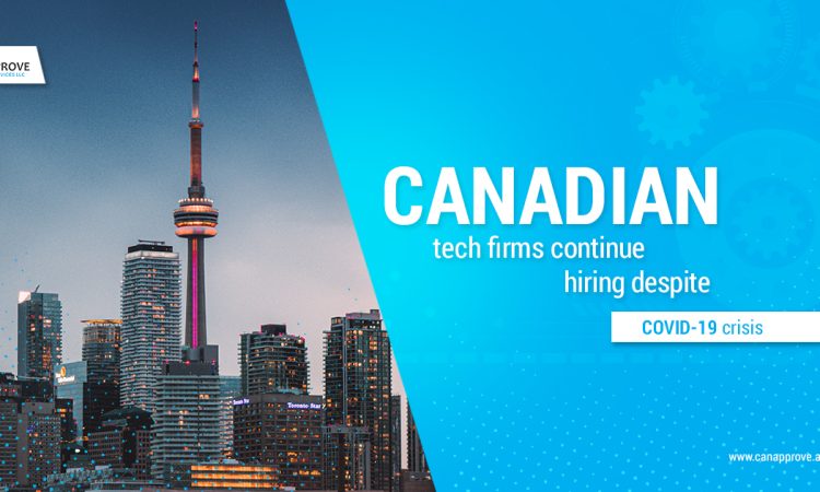 Canadian tech firms continue hiring despite COVID-19 crisis