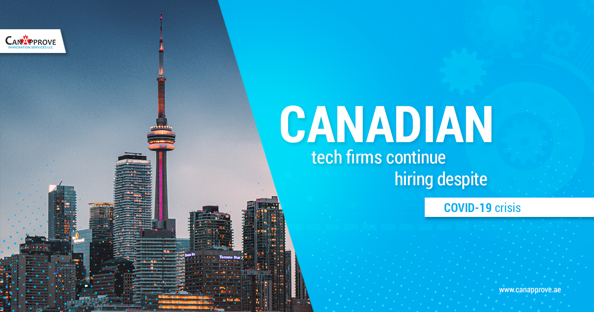 Canadian tech firms continue hiring despite COVID-19 crisis
