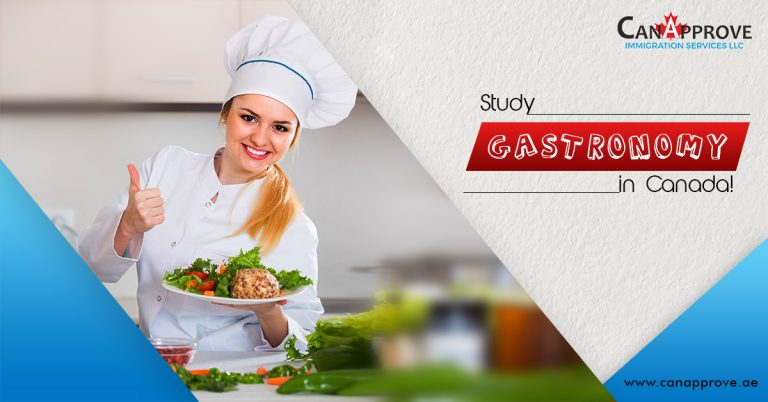 Study Gastronomy in Canada!