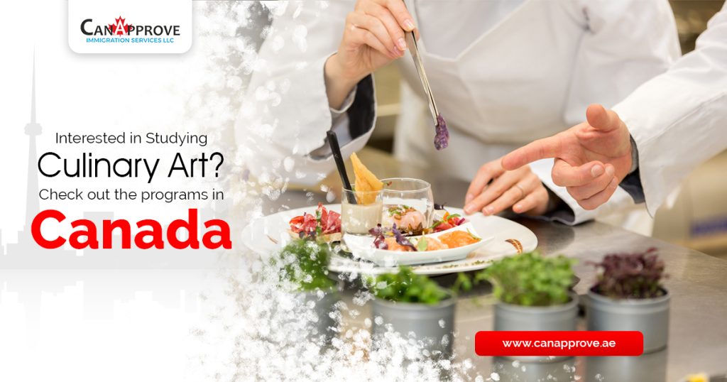 Culinary Art Programs in Canada!