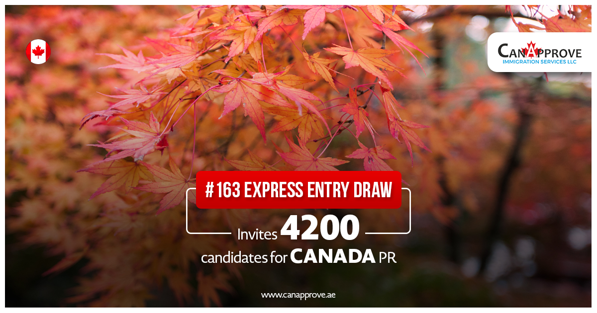 IRCC issued over 70,000 ITAs for Canada PR in 2020 | CanApprove