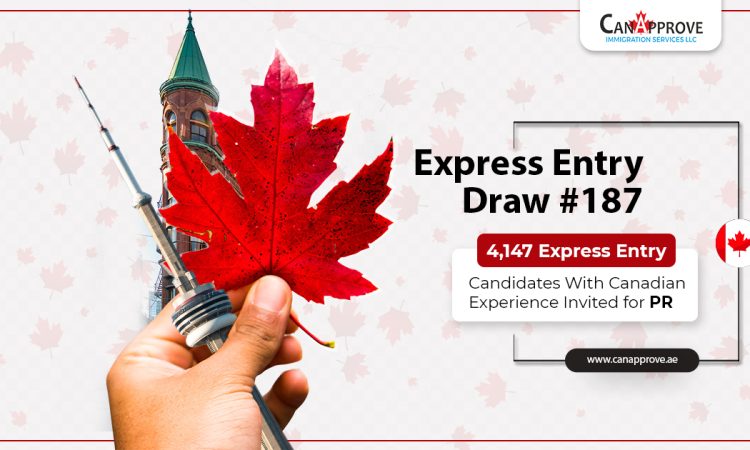 New Express Entry Draws Extend PR Invites To CEC Candidates With CRS 401