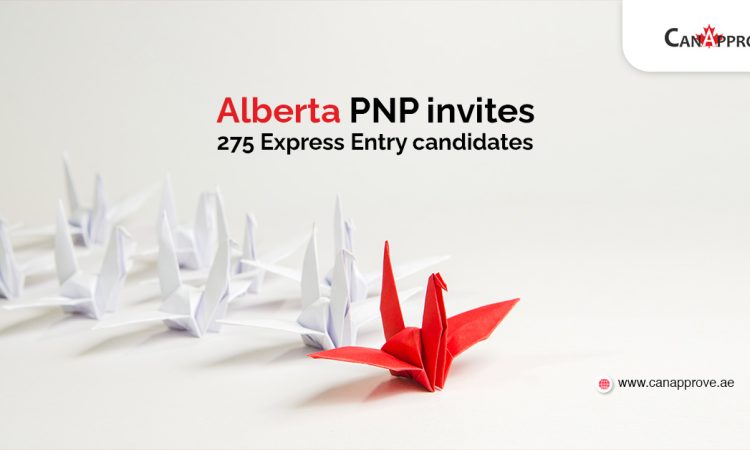 Alberta pnp draw