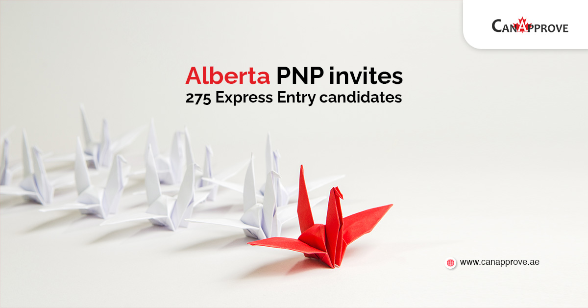 Alberta pnp draw