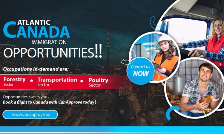 Atlantic Canada is filled with new opportunities