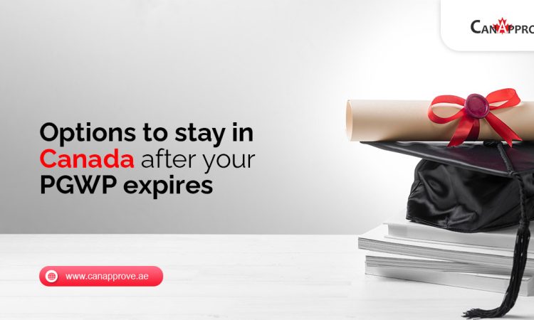 Options to stay in Canada after your PGWP expires