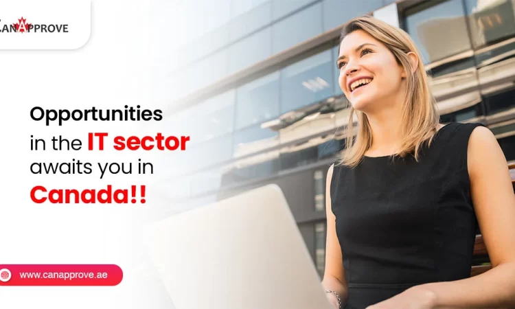 Opportunitites in IT sector Canada