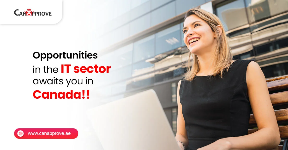 Opportunitites in IT sector Canada