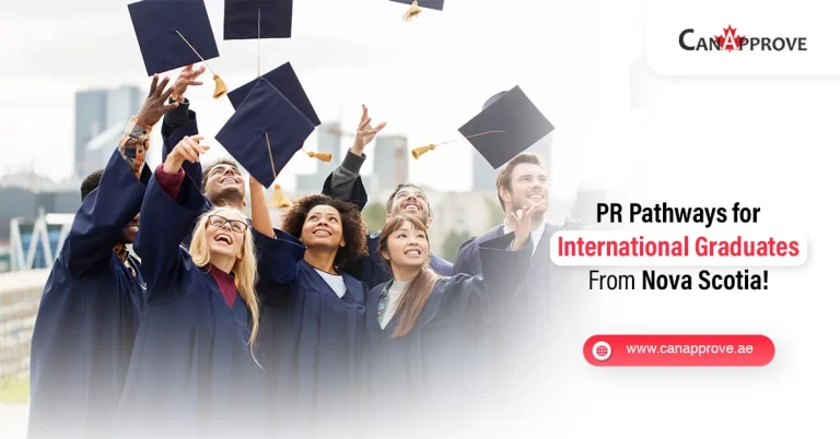 Are you a Nova Scotian international student with a bachelor’s degree?