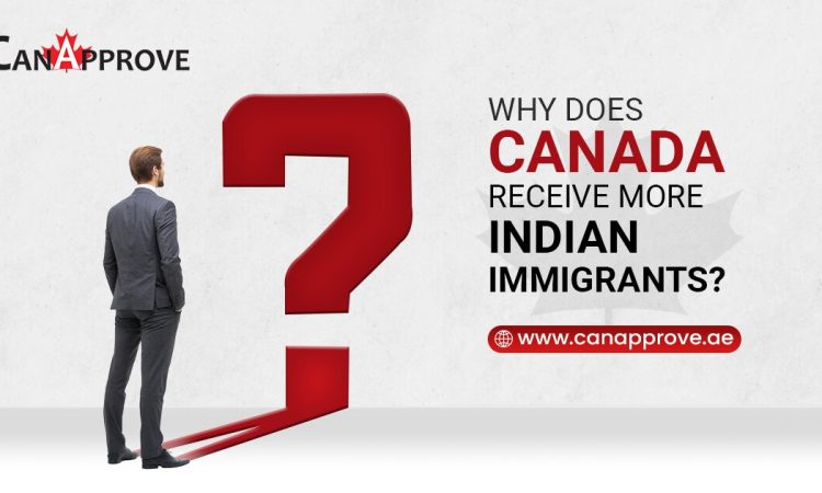 Why does Canada receive more Indian Immigrants?