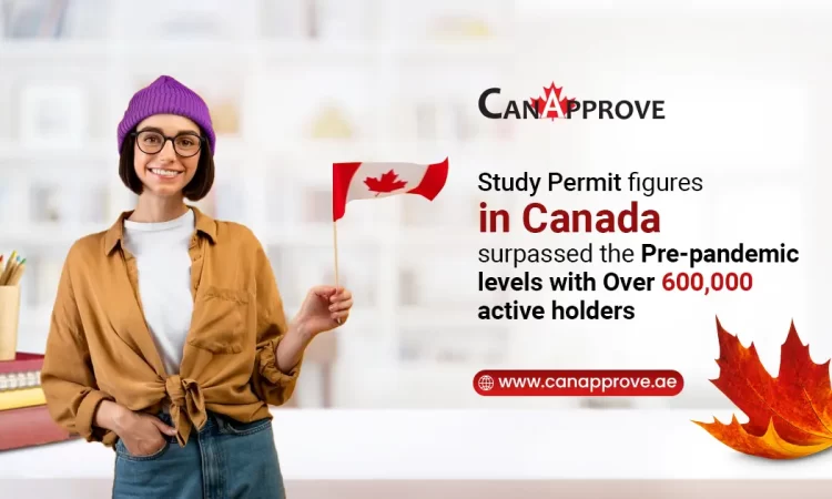 IRCC Reported 56% Increase In Study Permit Applications Since Pandemic