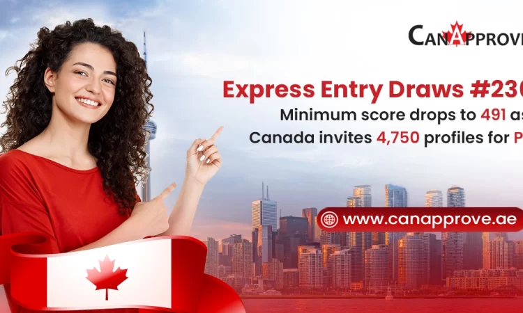 Express Entry Draws: November Ends With Lower CRS Score And 4,750 ITAs For Canada PR 