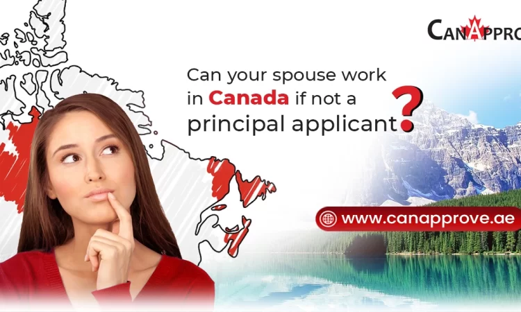 Spousal Open Work Permit: Your Sponsored Applicant Can Now Work in Canada