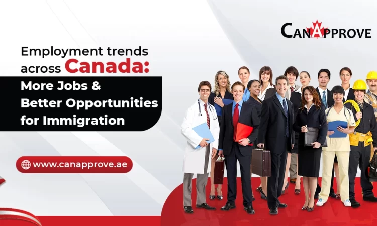 General Employment Trends Across Canada Promise Better Scope For Skilled Immigration