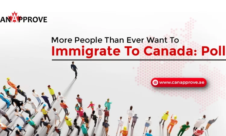 Canada Becomes More Popular Destination For Immigrants Over The Past Five Years: Gallop Polls