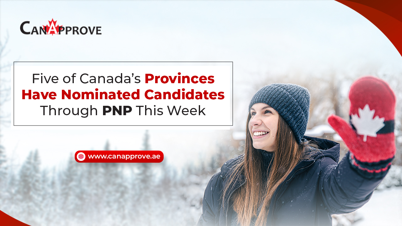 PNP this week